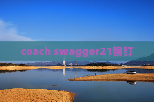 coach swagger21铆钉